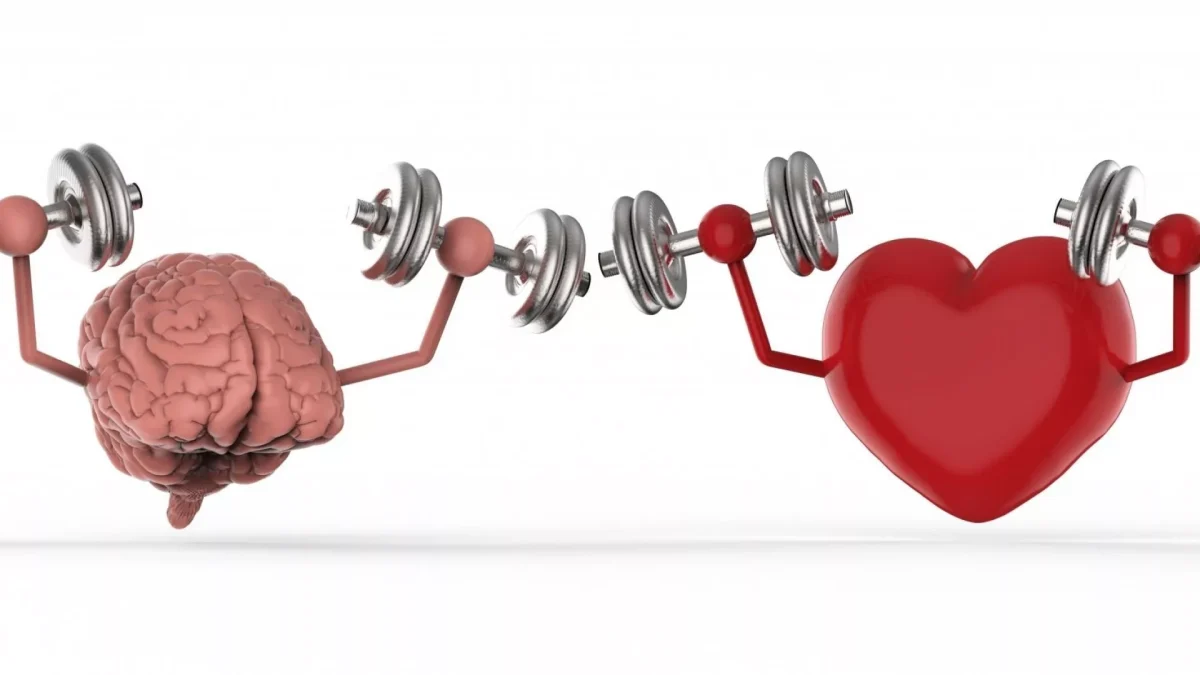 5 jednoduchých kroků ke zdravému srdci: Jak posílit hlavní motor těla! 12 5 jednoduchých kroků ke zdravému srdci: Jak posílit hlavní motor těla!