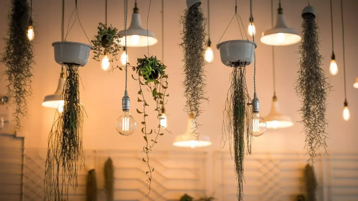 Osvětlení které mění vše: Jak světlo proměňuje váš domov!