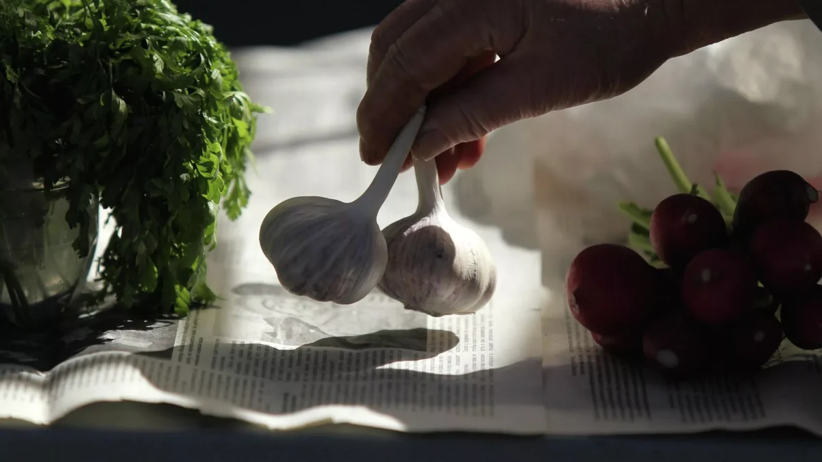 Tento jednoduchý produkt – váš štít proti nemocem! Zjistěte, proč je česnek nezbytný pro každého! 12 Tento jednoduchý produkt – váš štít proti nemocem! Zjistěte, proč je česnek nezbytný pro každého!
