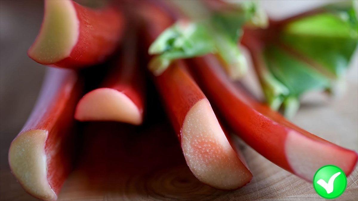 Červený celer: Neobvyklá zelenina, která promění vaši zahradu i zdraví. Zjistěte, jak jej pěstovat a proč by měl být na vašem stole každý den! 10 Červený celer: Neobvyklá zelenina, která promění vaši zahradu i zdraví. Zjistěte, jak jej pěstovat a proč by měl být na vašem stole každý den!