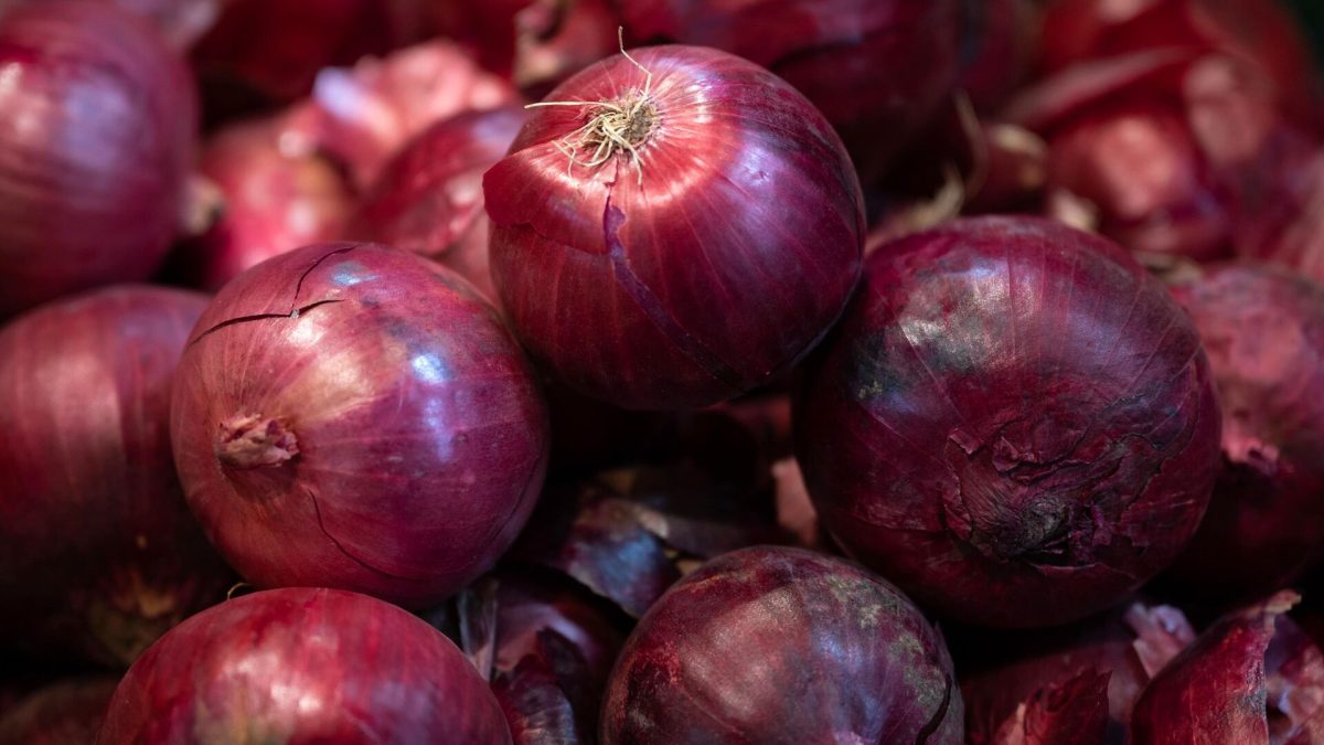 Červená cibule: Nejen výrazný akcent na stole. Proč by měla být součástí vašeho jídelníčku už dnes! 2 Červená cibule: Nejen výrazný akcent na stole. Proč by měla být součástí vašeho jídelníčku už dnes!