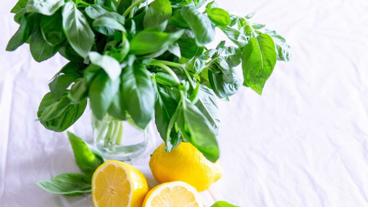 Citrón: 3 jednoduché způsoby, jak ho použít pro zdraví a krásu. Všichni sousedé budou závidět! 12 Citrón: 3 jednoduché způsoby, jak ho použít pro zdraví a krásu. Všichni sousedé budou závidět!