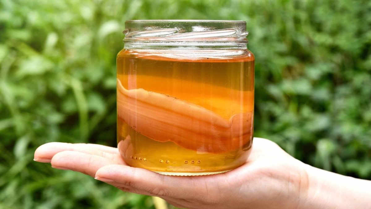 Kombucha doma: Jednoduchý recept, který vám ušetří spoustu peněz! 9 Kombucha doma: Jednoduchý recept, který vám ušetří spoustu peněz!