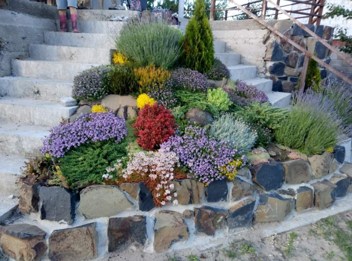 Skalka ve svahu: Inspirace pro vytvoření krásné a funkční zahrady na strmých svazích 17 Skalka ve svahu