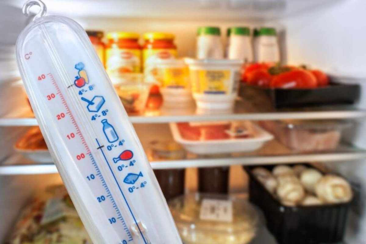 Na podzim a v zimě je třeba změnit teplotu chladničky: takhle skutečně ušetříte energii 8 Na podzim a v zimě je třeba změnit teplotu chladničky: takhle skutečně ušetříte energii