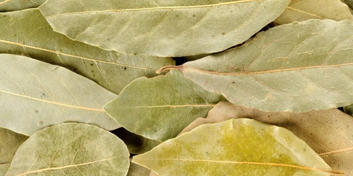 Vaření bobkových listů s octem: jaké jsou výhody a proč se to doporučuje? 8 Vaření bobkových listů s octem: jaké jsou výhody a proč se to doporučuje?