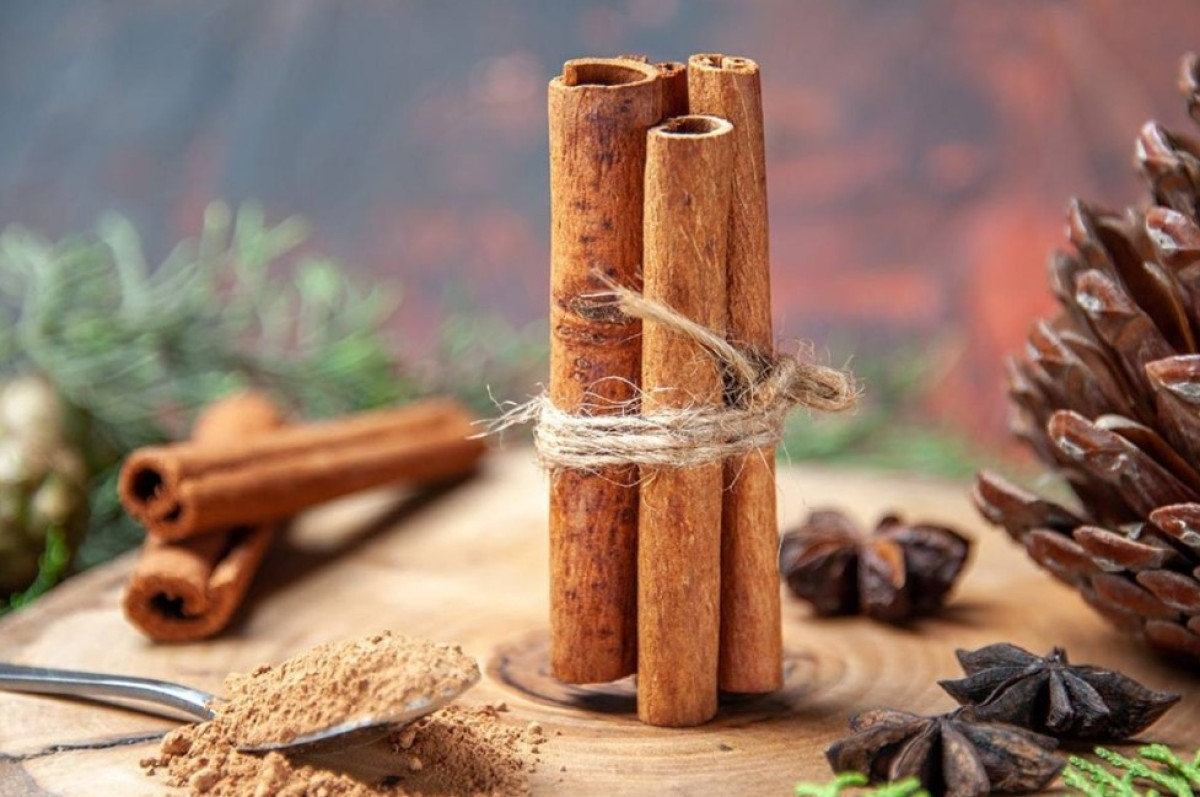 Ohromující důvod, proč stále více lidí věší skořicové tyčinky na vchodové dveře – a co se stane, když to vyzkoušíte i vy 4 Ohromující důvod, proč stále více lidí věší skořicové tyčinky na vchodové dveře – a co se stane, kdy...