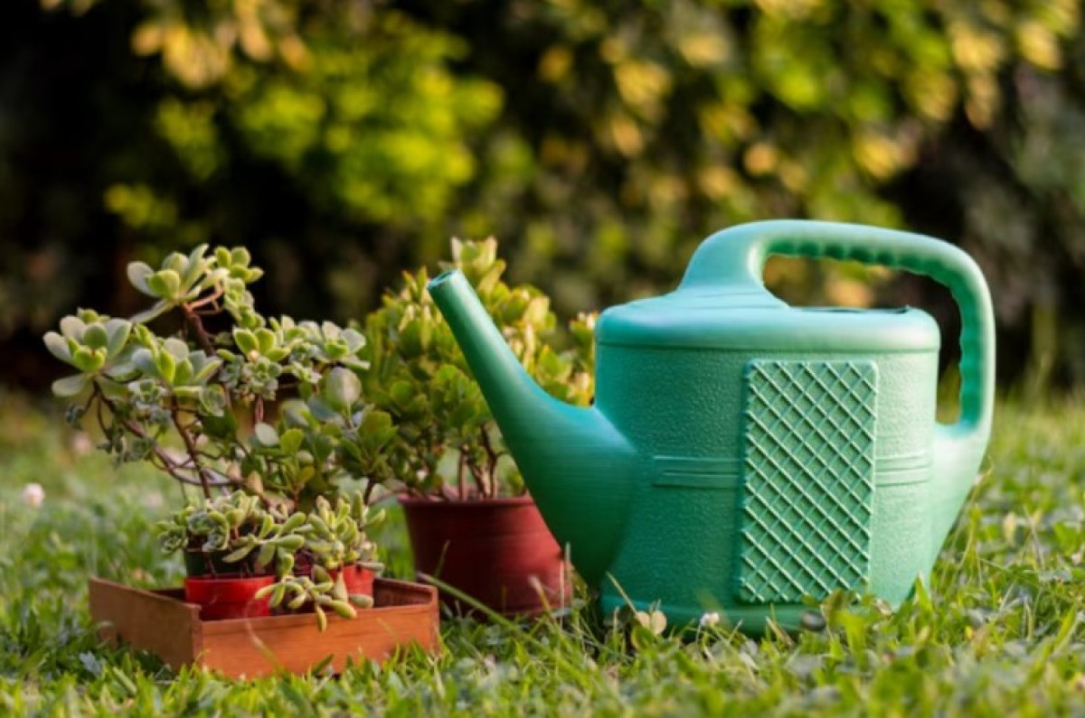 Jak rychle vytvořit barevnou a zdravou zahradu: 5 praktických tipů pro začátečníky i pokročilé 4 Jak rychle vytvořit barevnou a zdravou zahradu: 5 praktických tipů pro začátečníky i pokročilé