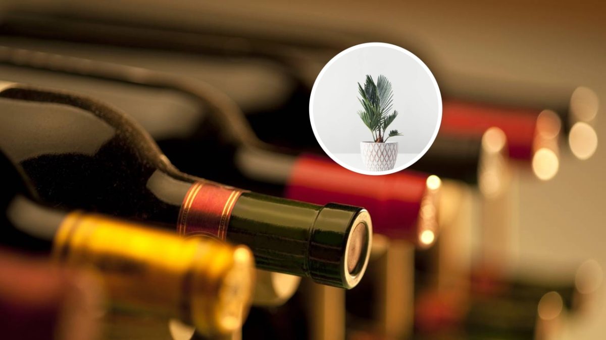 Proměnil jsem láhev vína ve vázu a stala se vrcholem dekorace 5 Proměnil jsem láhev vína ve vázu a stala se vrcholem dekorace